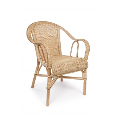 Ines   Bamboo 57 . x 65