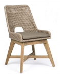  Hesperia   50 . x 86 