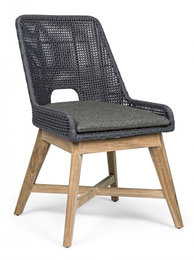 Hesperia   50 . x 86