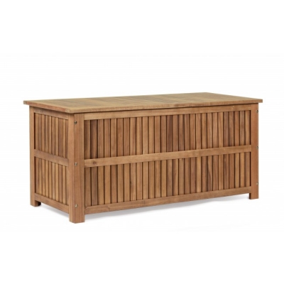 Noemi   130 . x 55