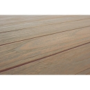  Maricruz  Bar  180 . x 80 