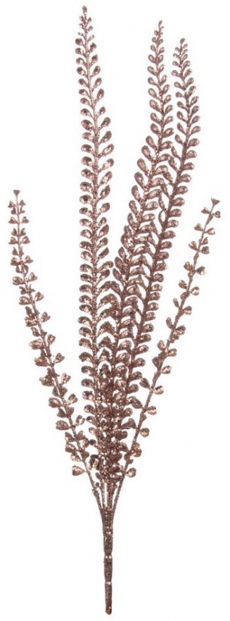    50 