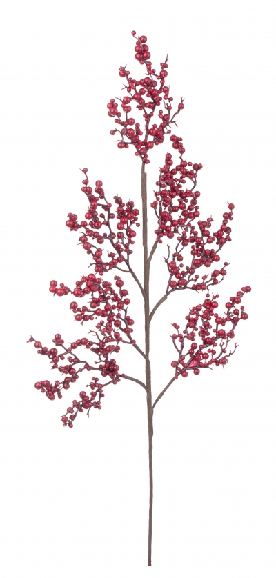     Berries 70 