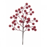      Berries 45 