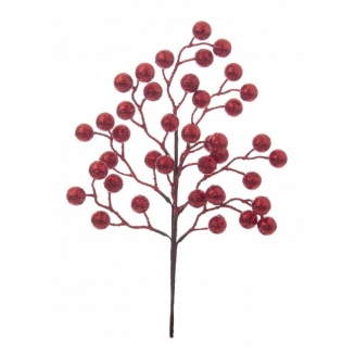     Berries 45