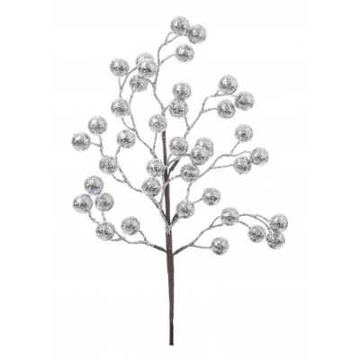    Berries 45