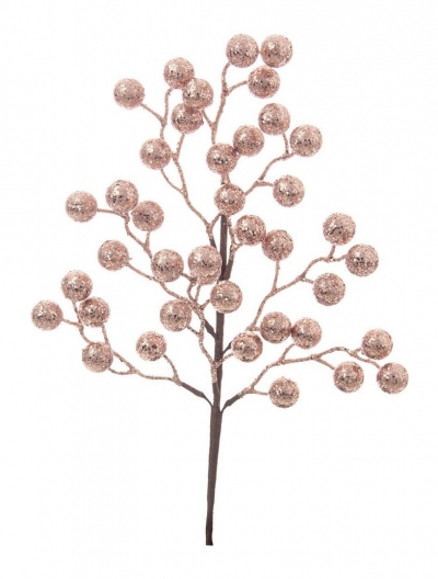    Berries 45