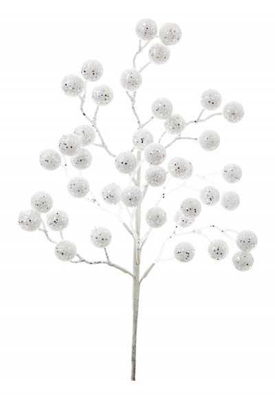     Berries 45