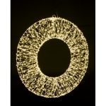  ����������������� ���������� ������� 1920 Microled � 70�� 