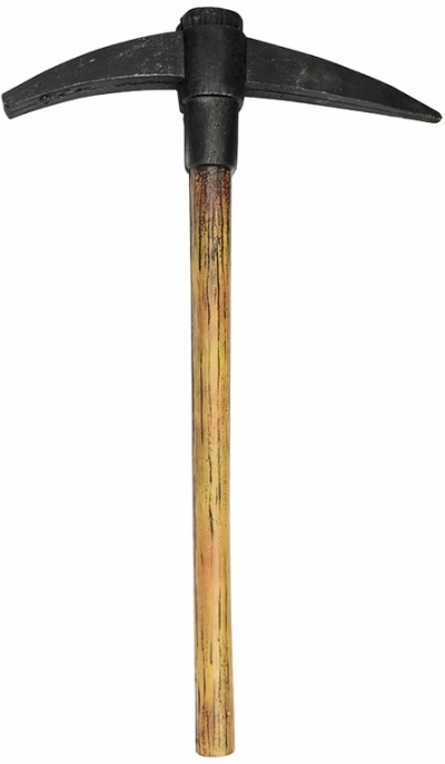      51cm