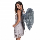  ����������� �������� ����� ������� 65�� x 65�� 