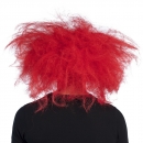      Ruddy Clown 