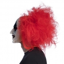      Ruddy Clown 