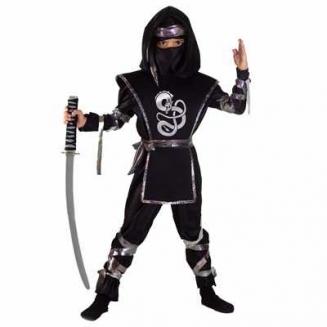   Ninja 
