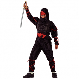   Ninja  