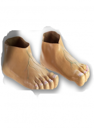 ����������� �������� ������� �����