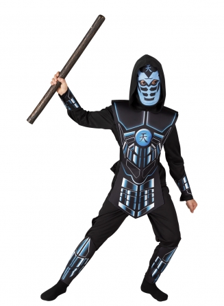   Cyber Ninja