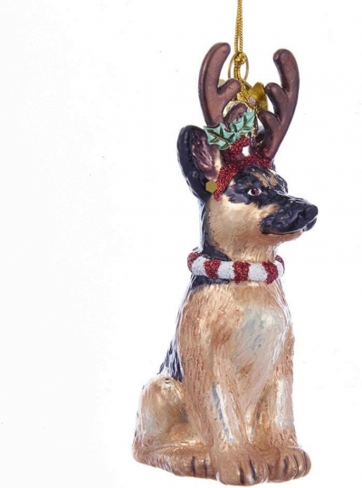    German Shepherd 10.9