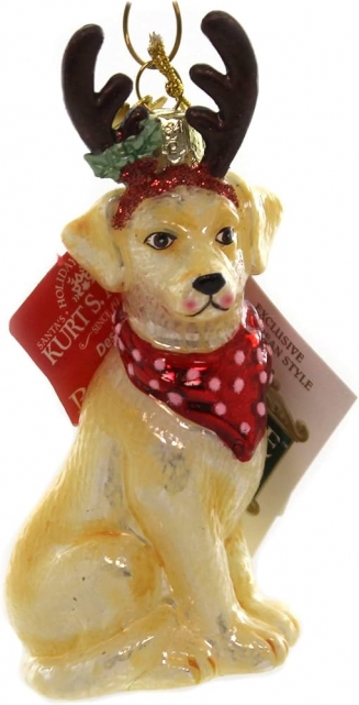    Yellow Labrador 10.9