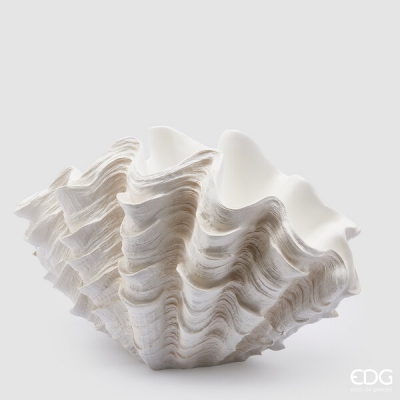 Conchiglia   48.5 x 28.5