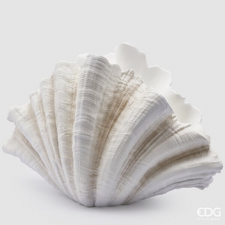 Conchiglia ����������� ������� 57�� x 36��