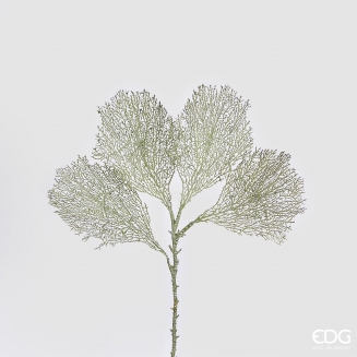 ������������ ����� �������� 66 ��.