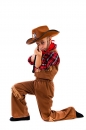    Cow Boy 