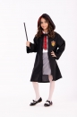    Wizard Ermioni 