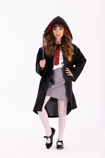   Wizard Ermioni