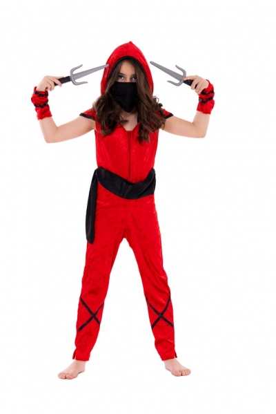   Ninja Katana