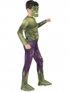    Costume Hulk HS 