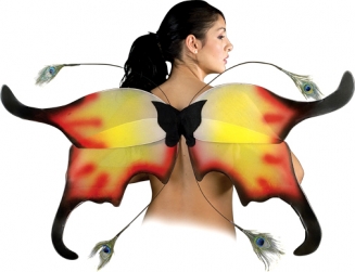 ����������� �������� ����� ������ 96 �� � 58 ��