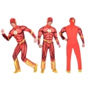    Flash 