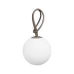  Bolleke   20 x 100 