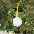  Bolleke   20 x 100 