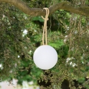  Bolleke   20 x 100 