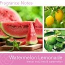    Watermelon Lemonade 311gr 
