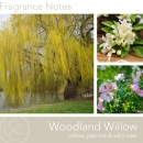    Woodland Willow 311gr 