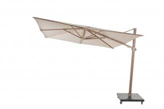 Siesta    300 x 300