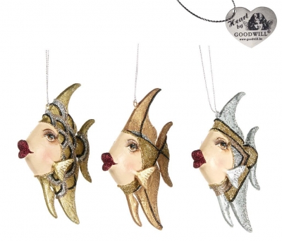   Gatsby Angel Fish 13 .