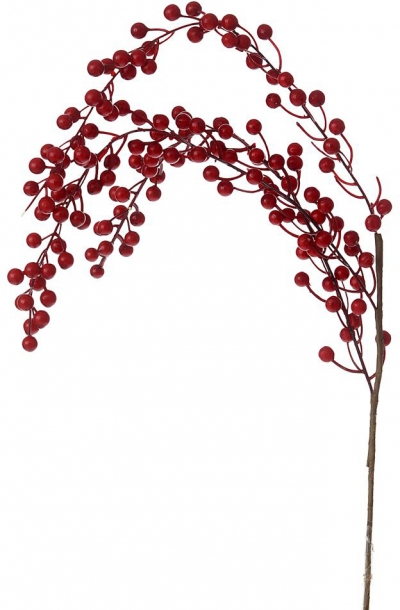    Berries 80 