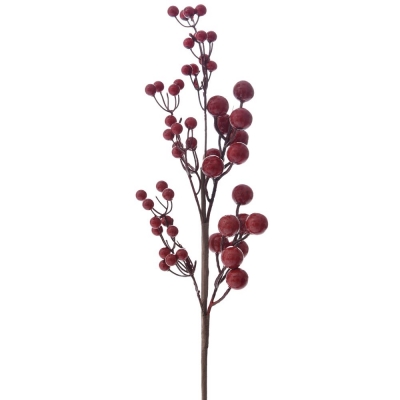    Berries 60 