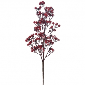    Berries   55 