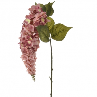 �������� ����� ��� ��������� 120 ��