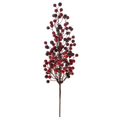     Berries 60