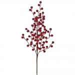     Berries 60 