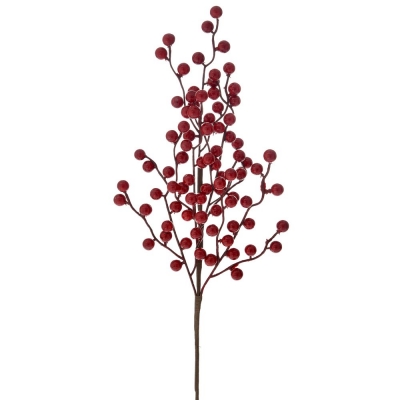     Berries 60