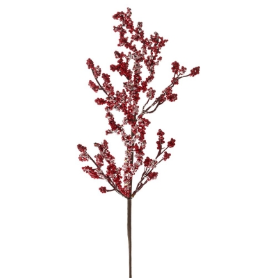    Berries 60