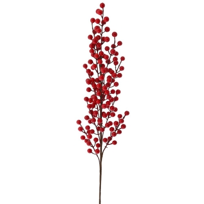    Berries 80