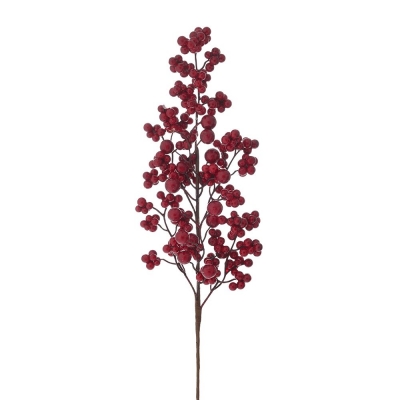    Berries 60 